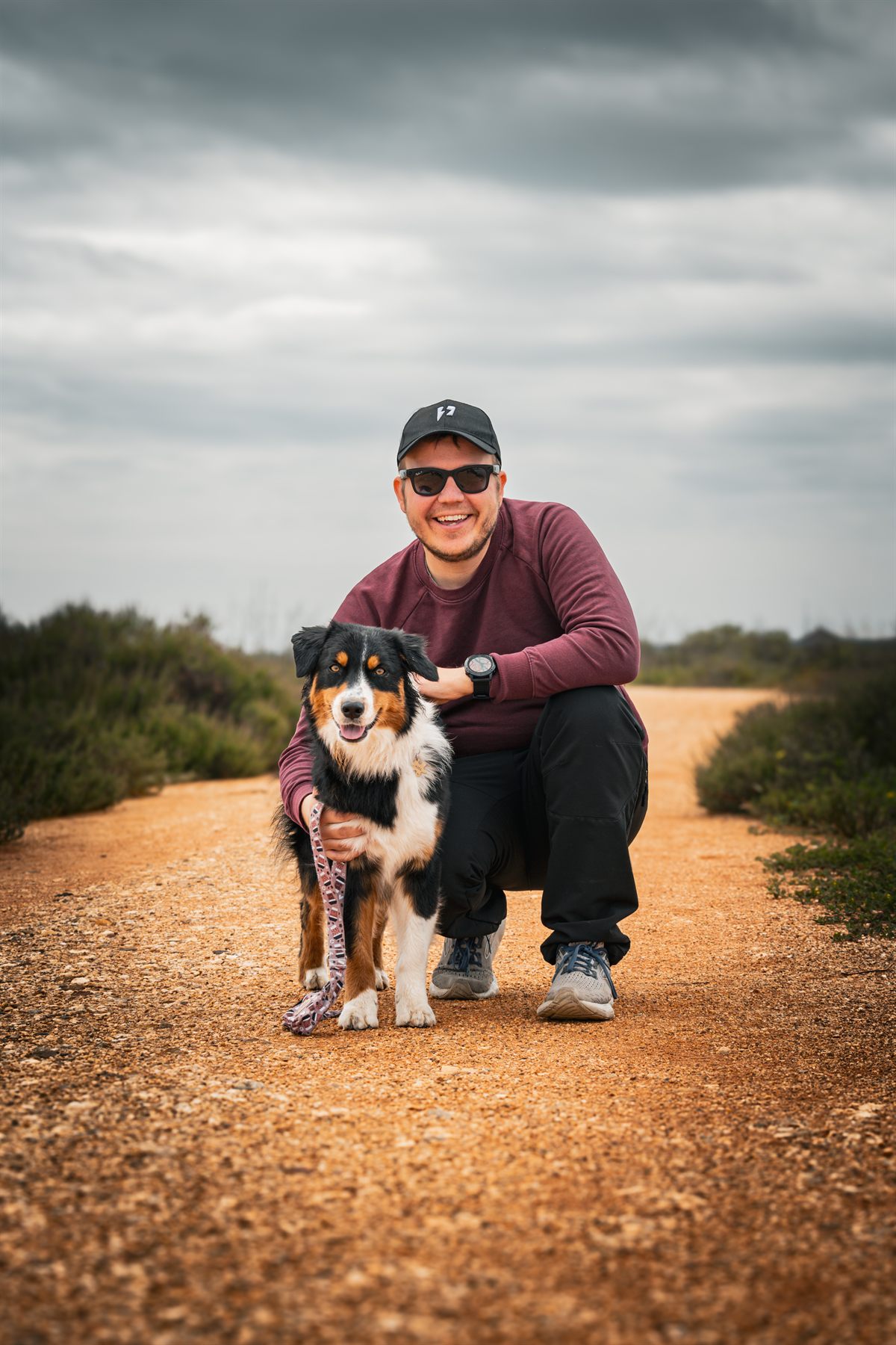 Hazel, tricolor Australian Shepherd